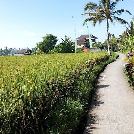 Jagi Villa Ubud Buitenkant foto