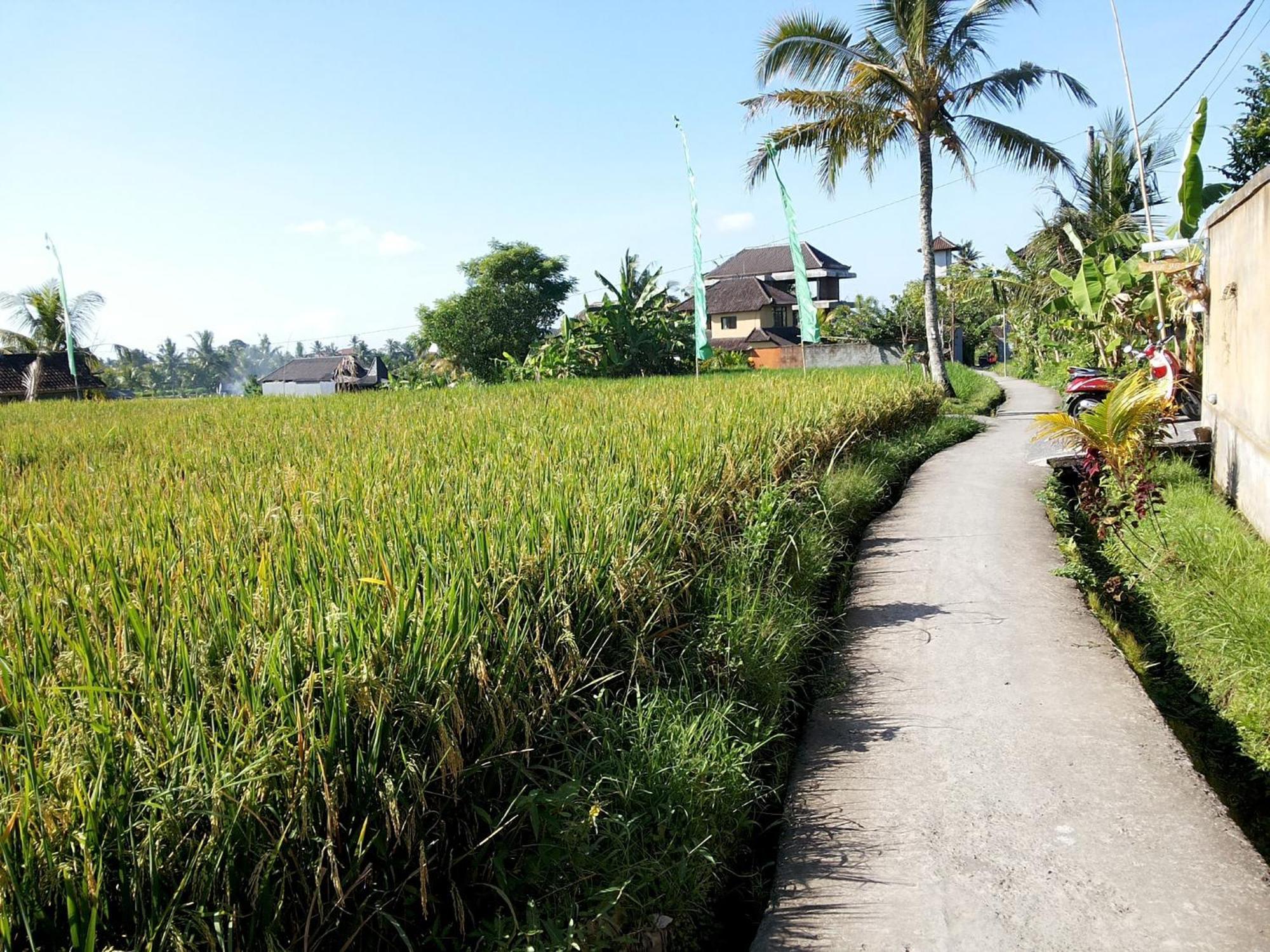 Jagi Villa Ubud Buitenkant foto
